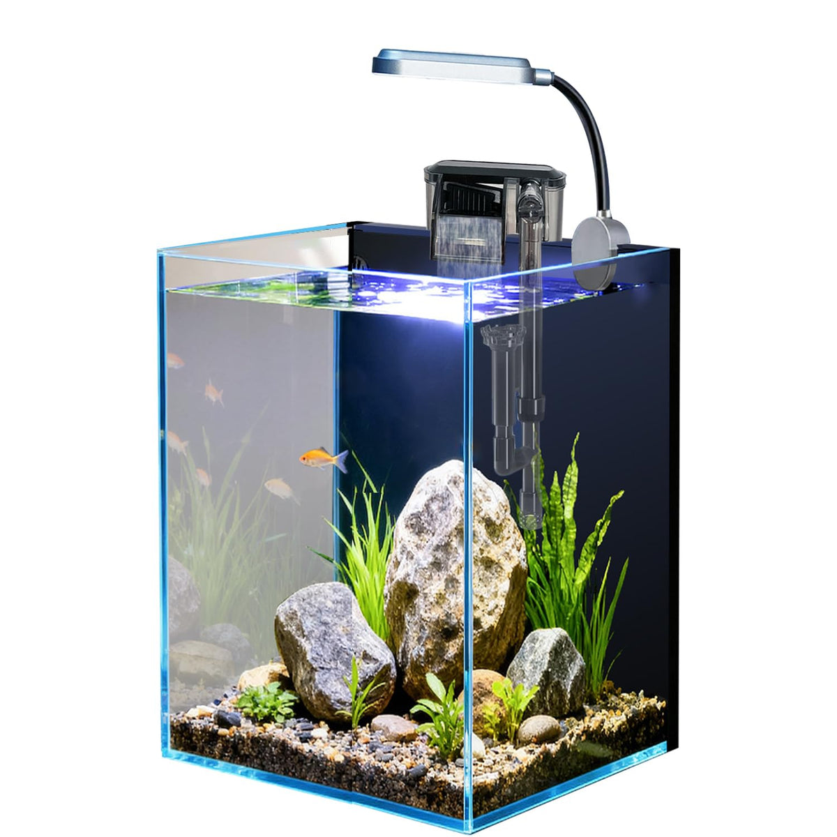Craftsboys 1.5 gallon tank front view for compact beginner aquascapes.