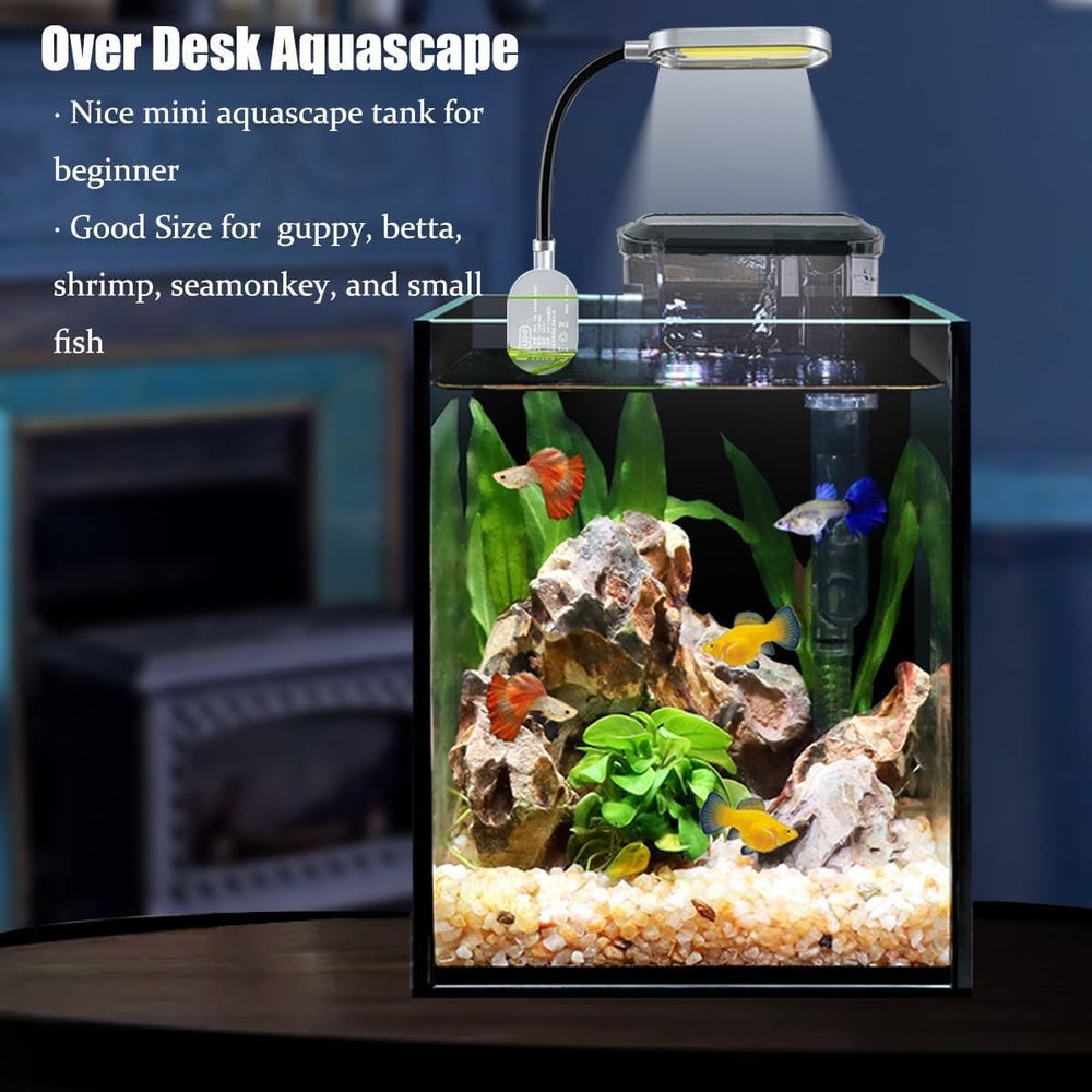 Craftsboys aquascape betta setup for small fish.