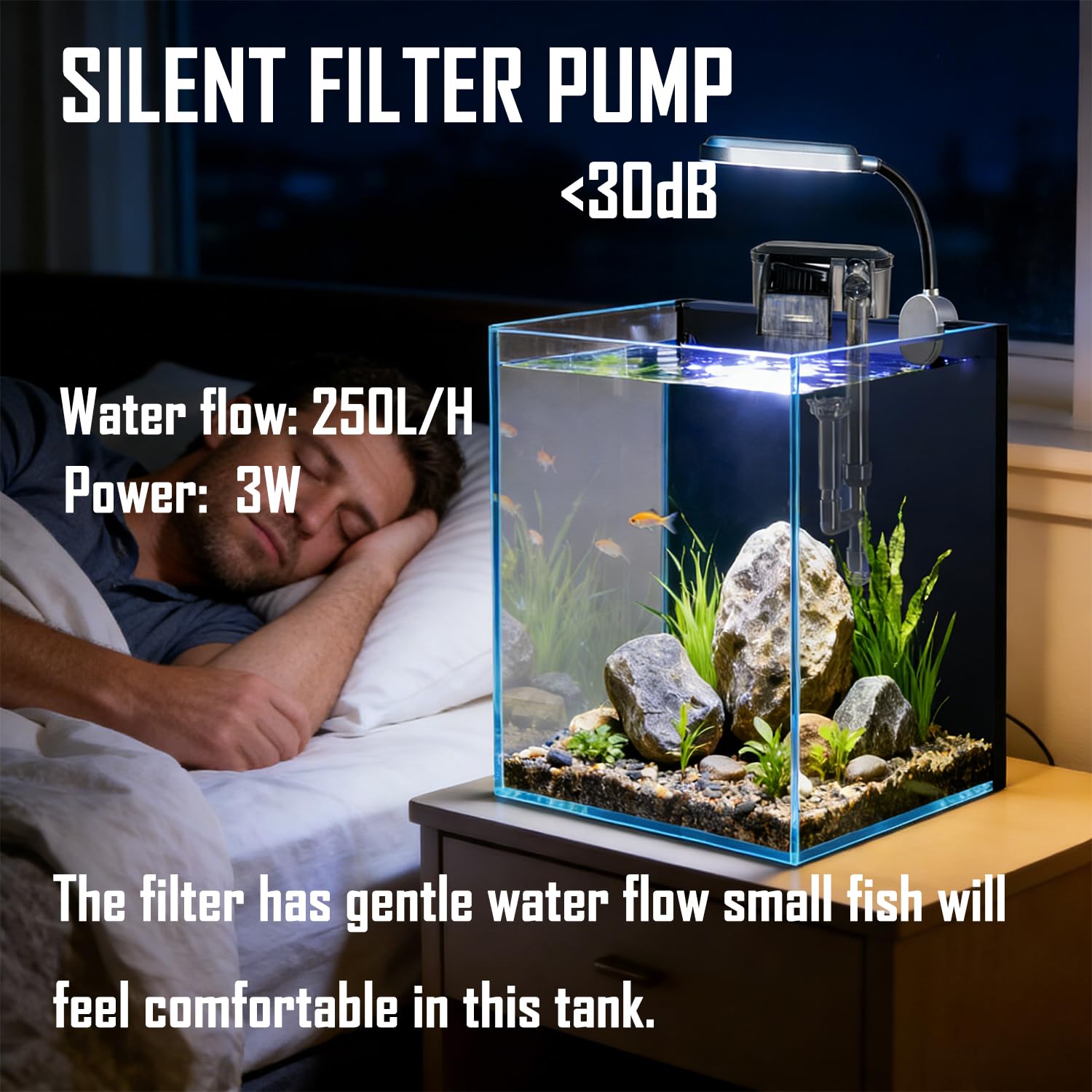 Craftsboys nano glass aquarium with filter for easy maintenance.