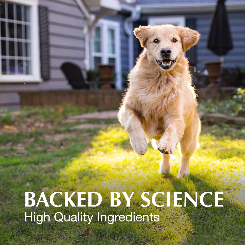 Crananidin dog chewable tablets close-up for simple administration