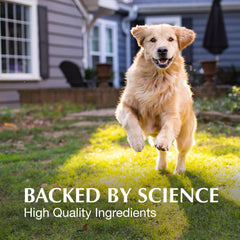 Crananidin dog chewable tablets close-up for simple administration