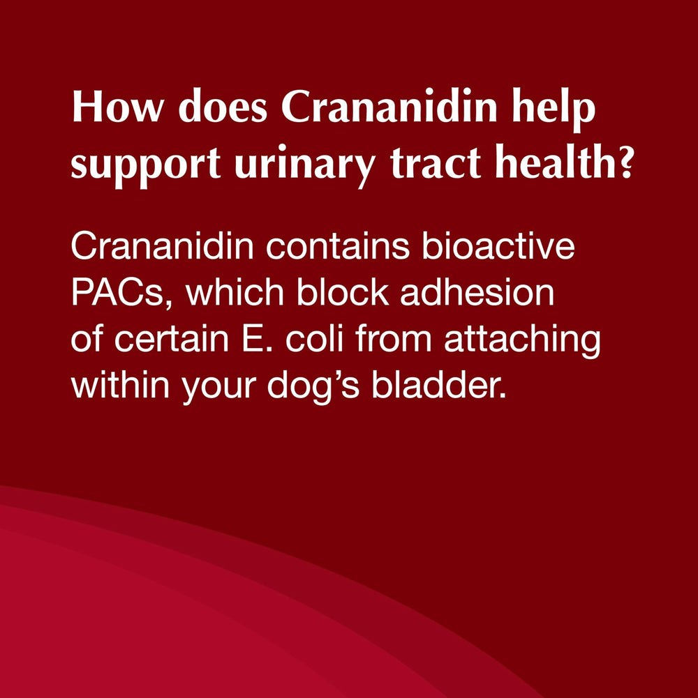 Crananidin packaging and dosage instructions for dogs