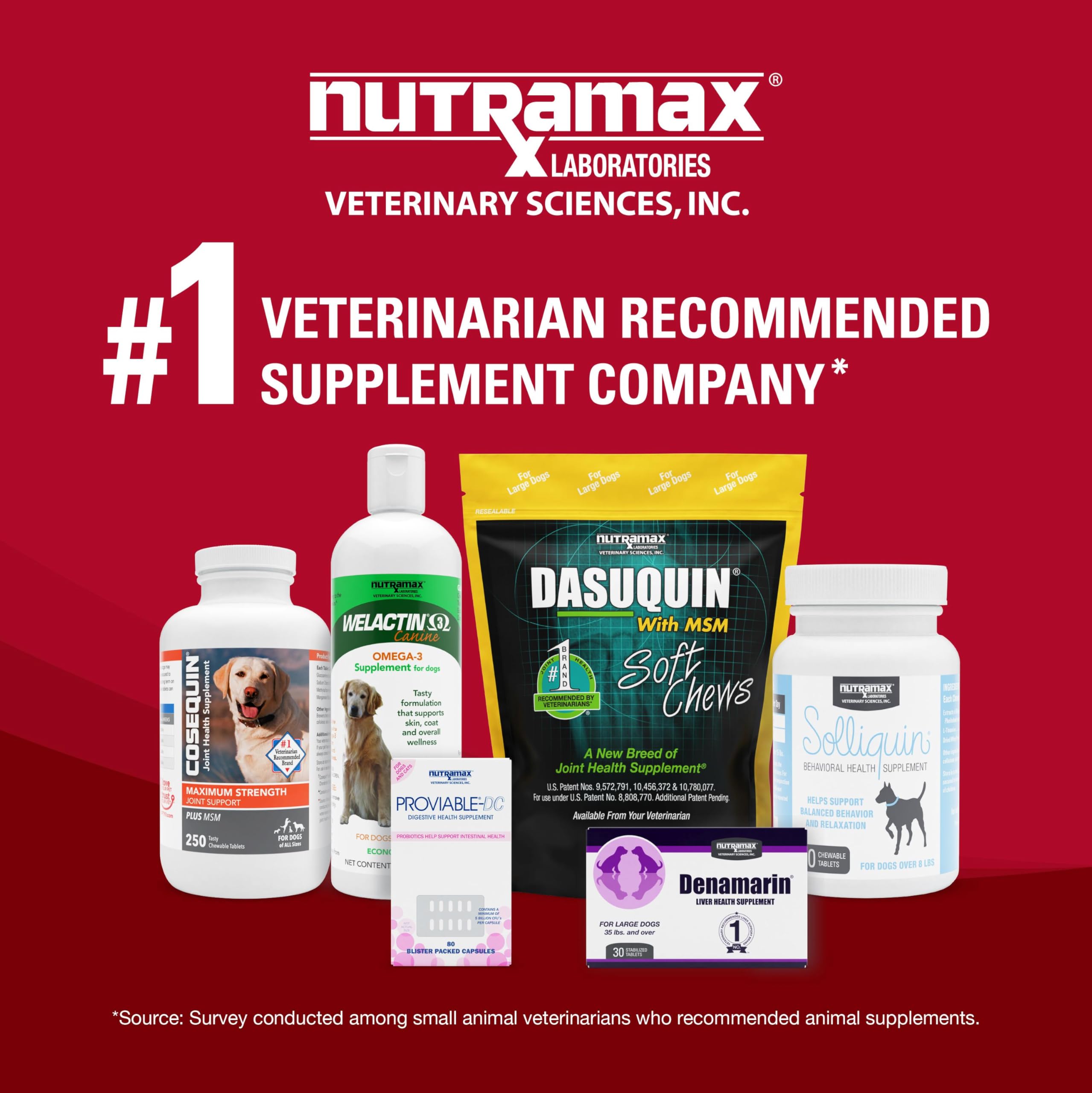 Cranberry extract graphic illustrating urinary tract support potential