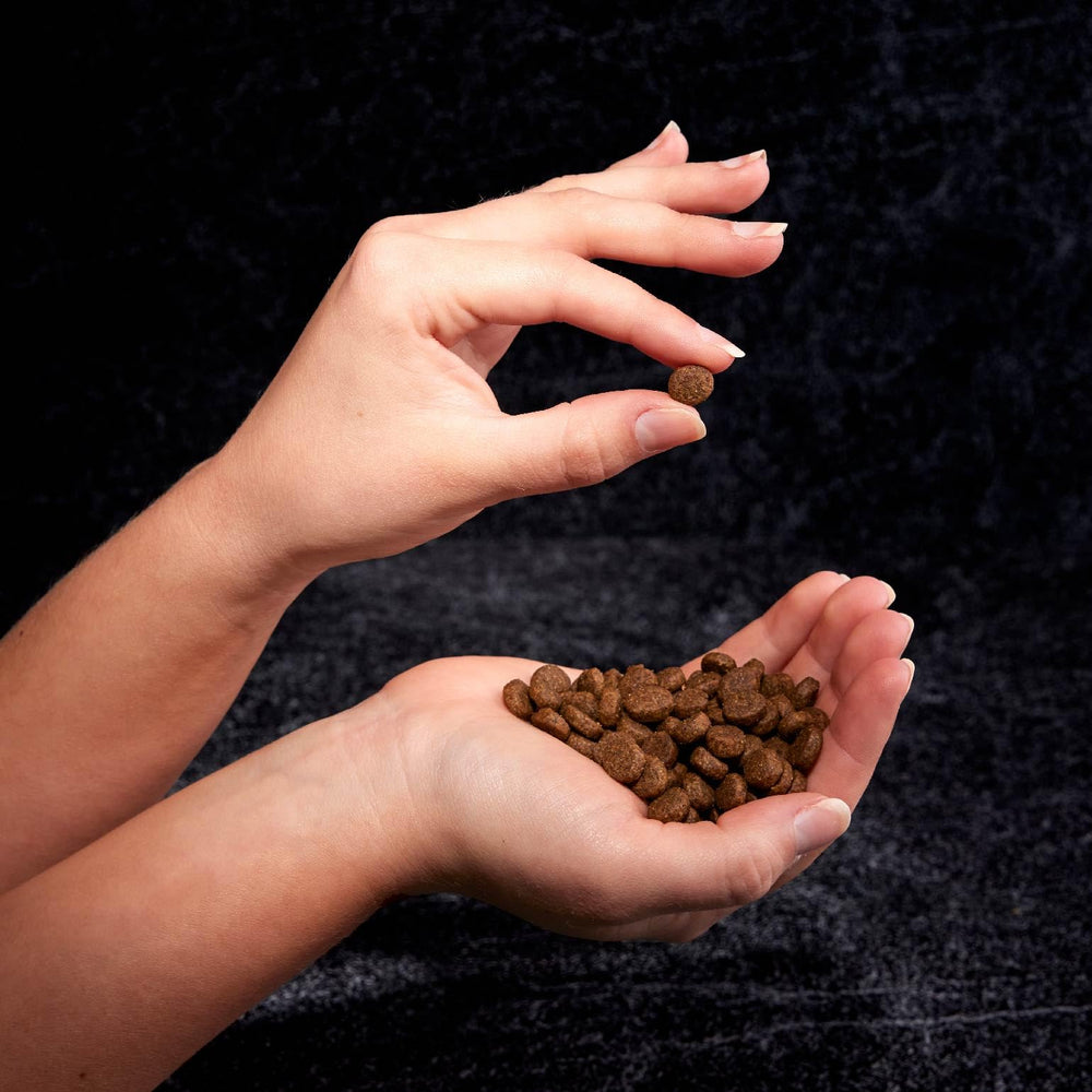 4 lb CRAVE bag label, designed for easy trial feeding and rotation.