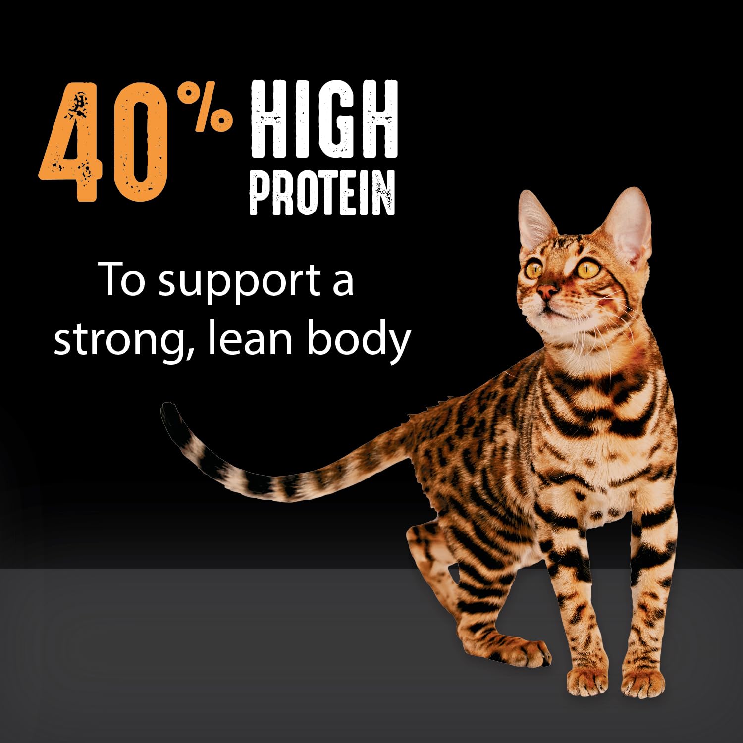 CRAVE adult dry cat food served in bowl balanced nutrition