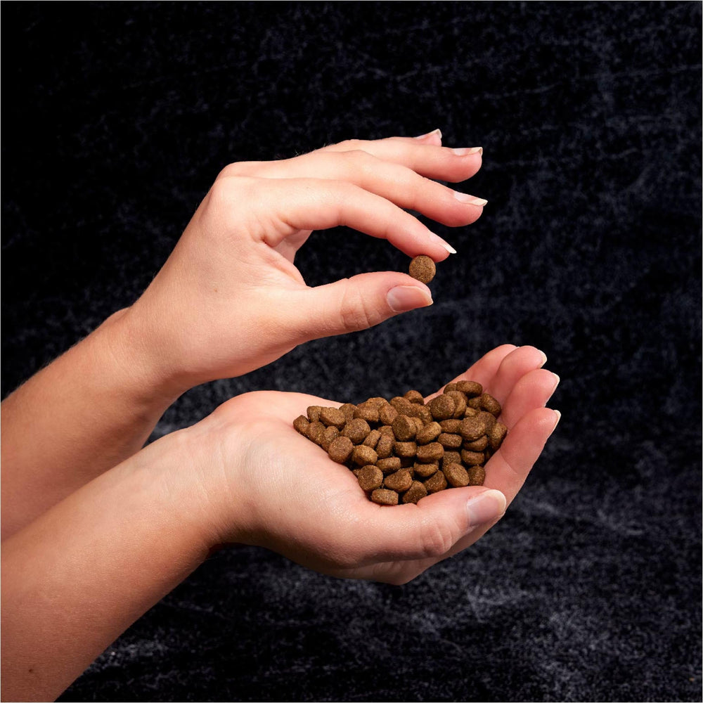 CRAVE beef protein ingredients underline meat-forward nutrition.