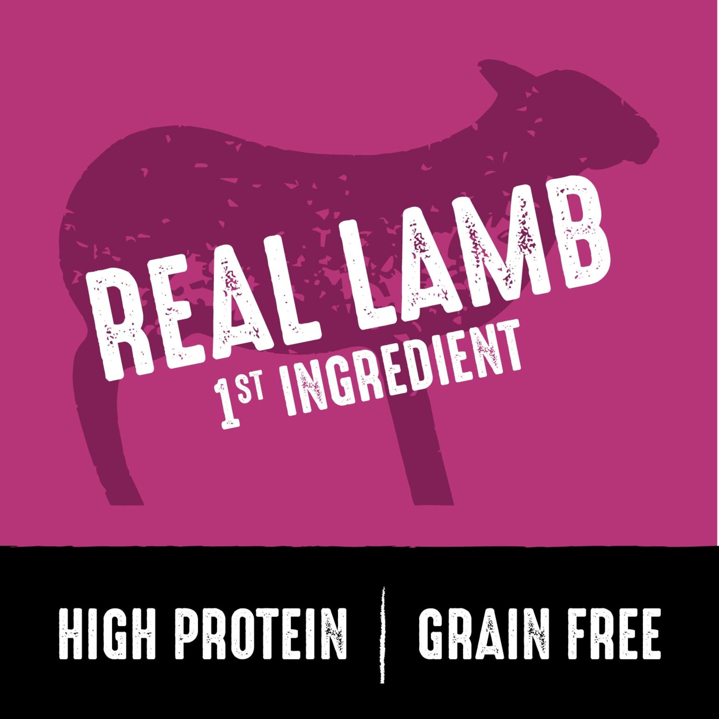 CRAVE grain-free dry dog food close-up with real meat flavor