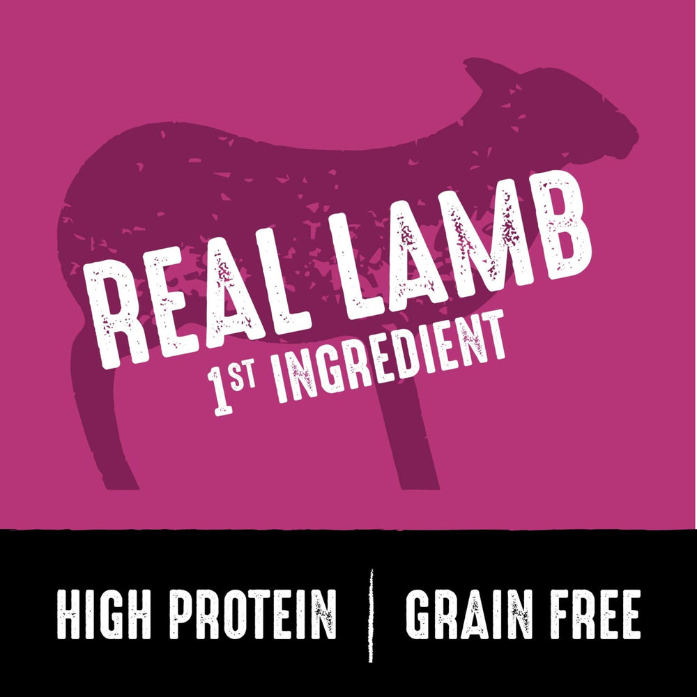 CRAVE grain-free dry dog food close-up with real meat flavor