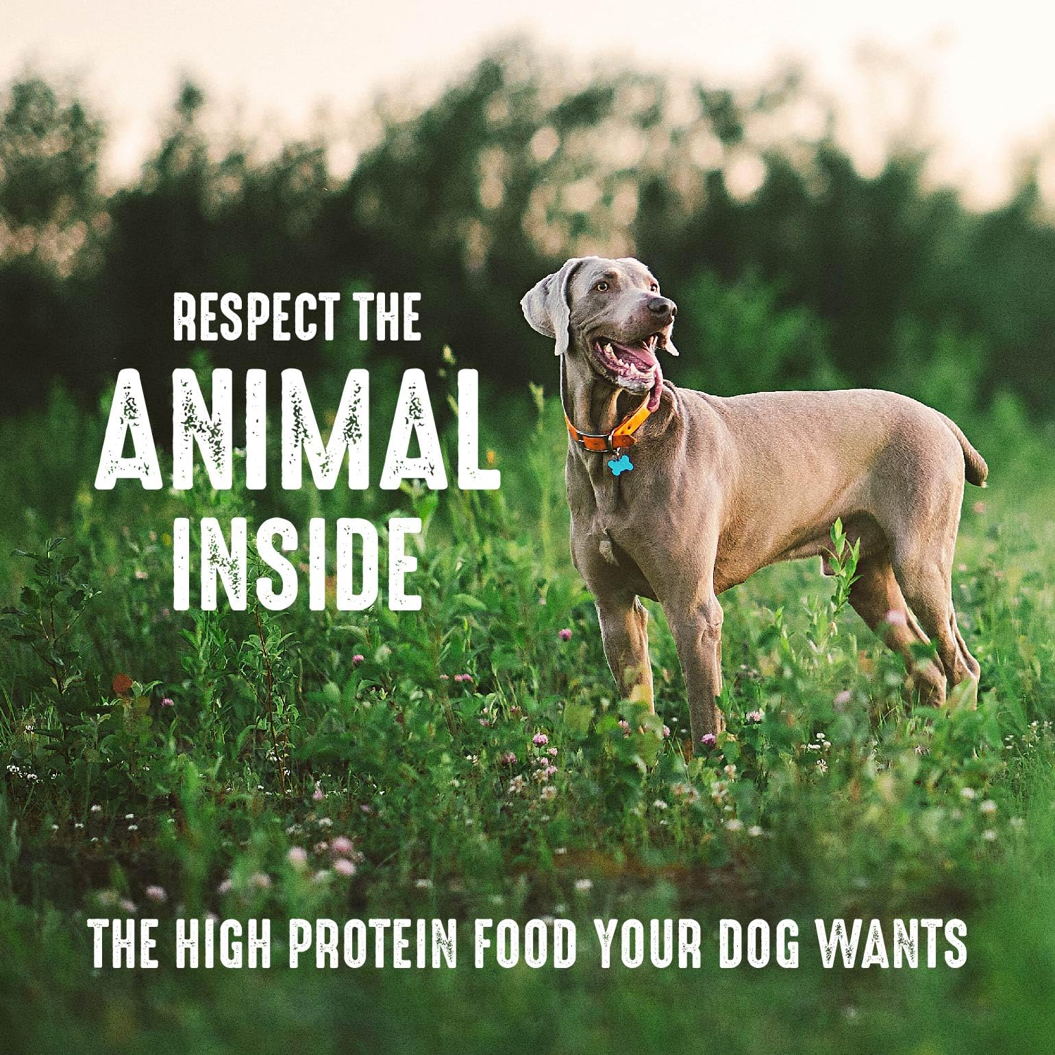 Ingredient list from CRAVE featuring peas as a natural energy source.