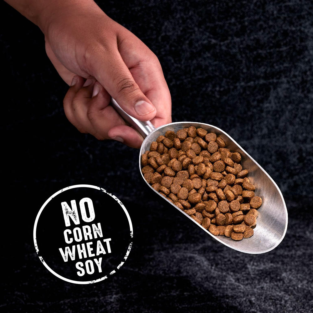 No chicken by-product, corn, wheat, or soy in CRAVE formula.