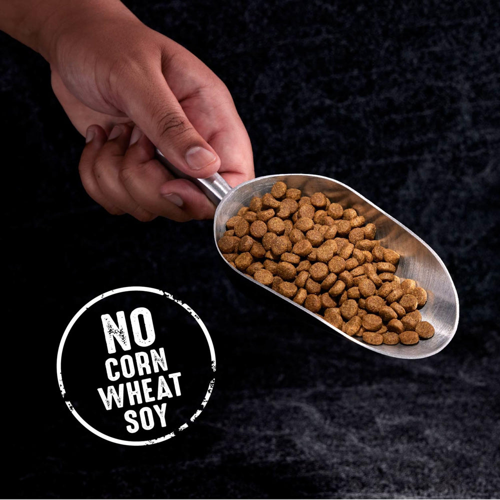 CRAVE bag on a wooden surface emphasizes grain-free convenience.