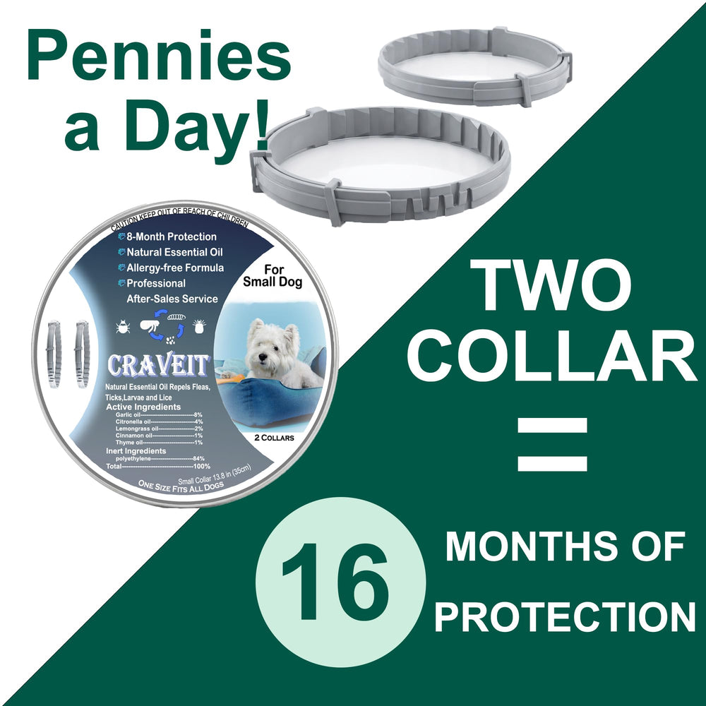 Craveit flea collar with secure buckle detail on neck.