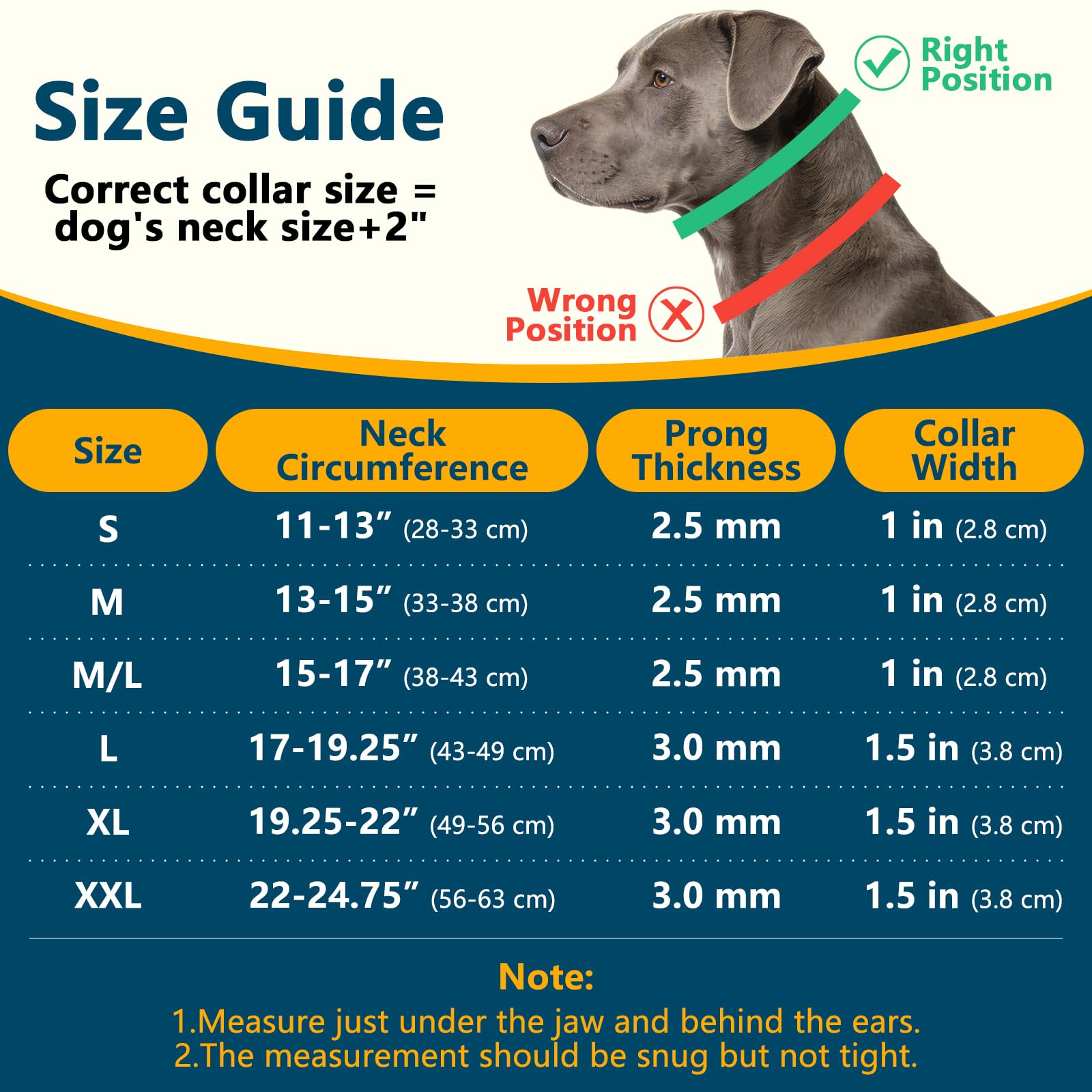 Crazy Felix martingale collar buckle close-up shows quick-release and secure fit