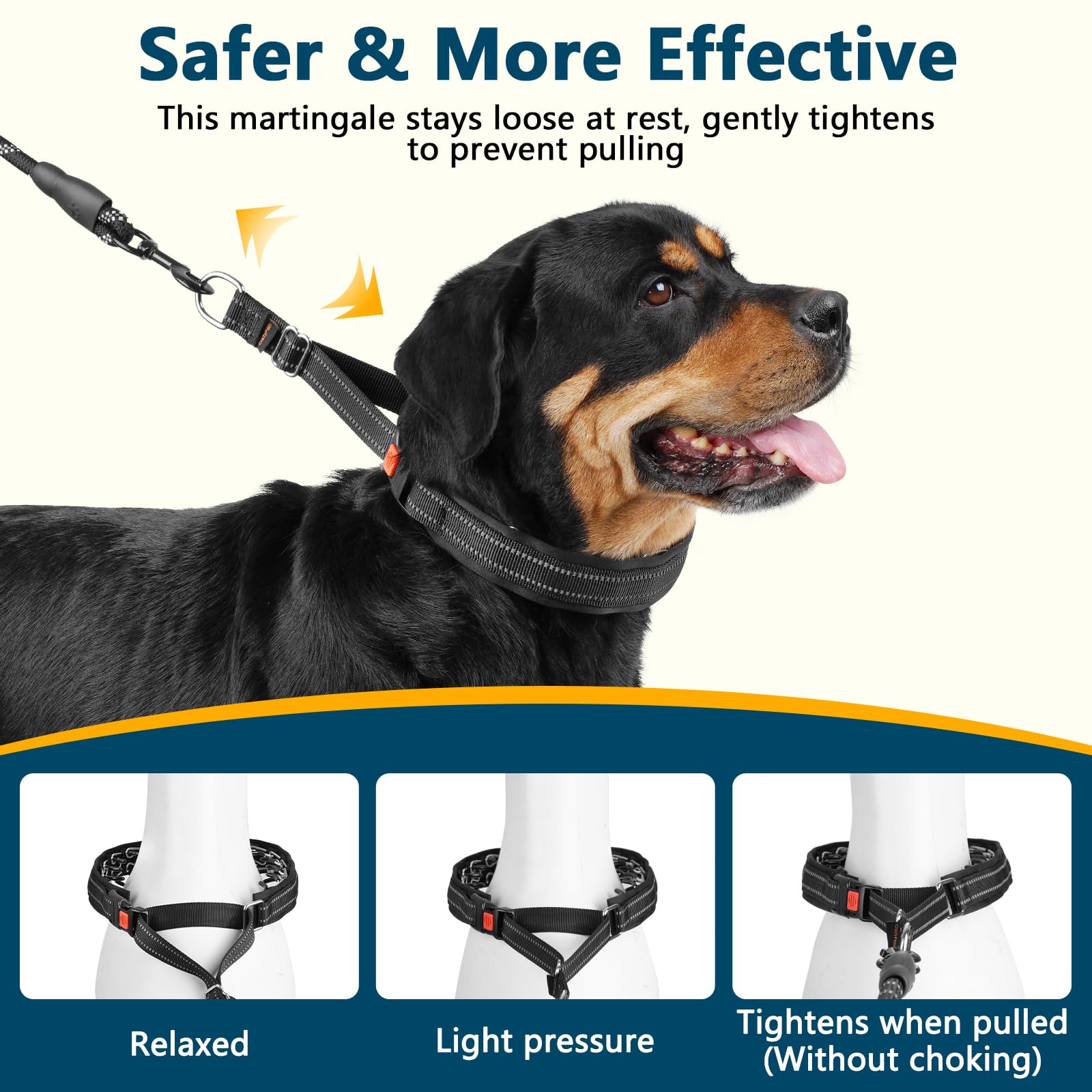 Crazy Felix martingale collar soft wrap on dog for comfortable daily wear