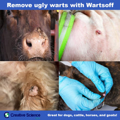 Dog care scene using Creative Science Warts Off 4oz for external warts.