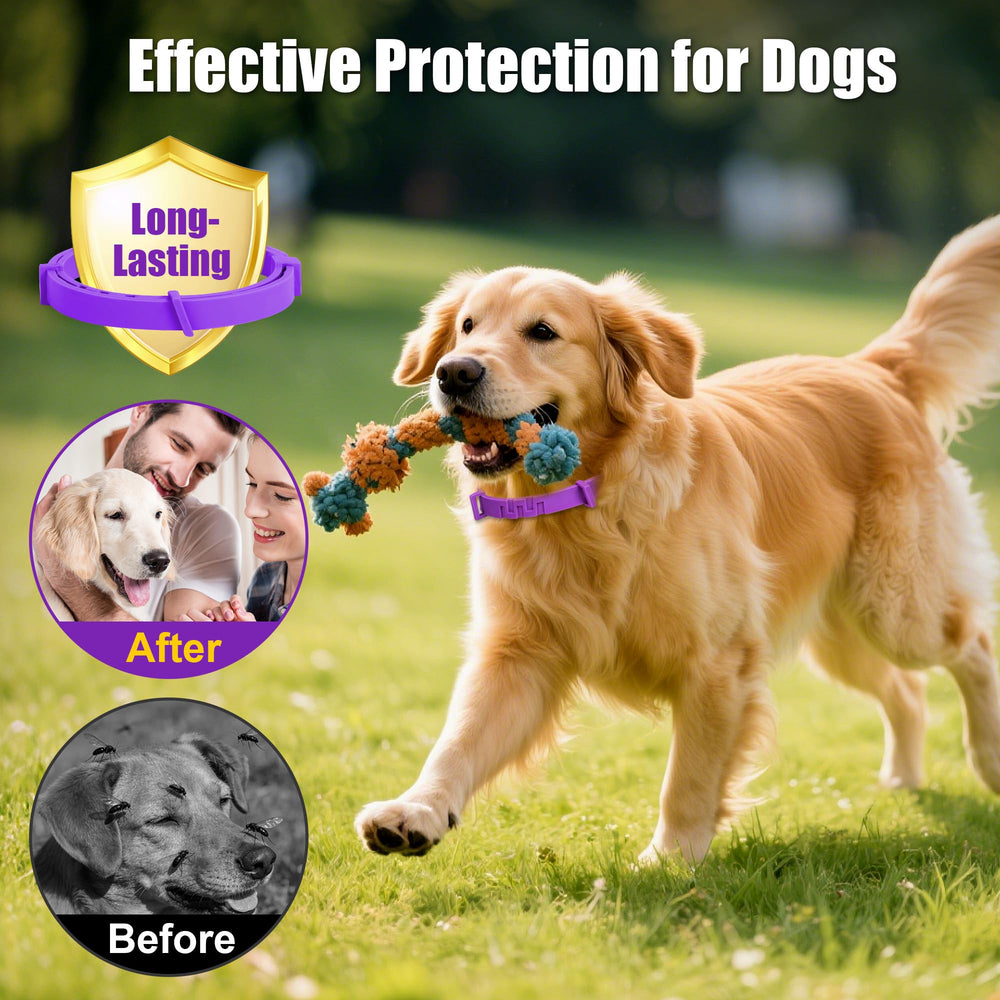 Crobirware 25-inch adjustable dog collar, comfortable fit for many breeds.