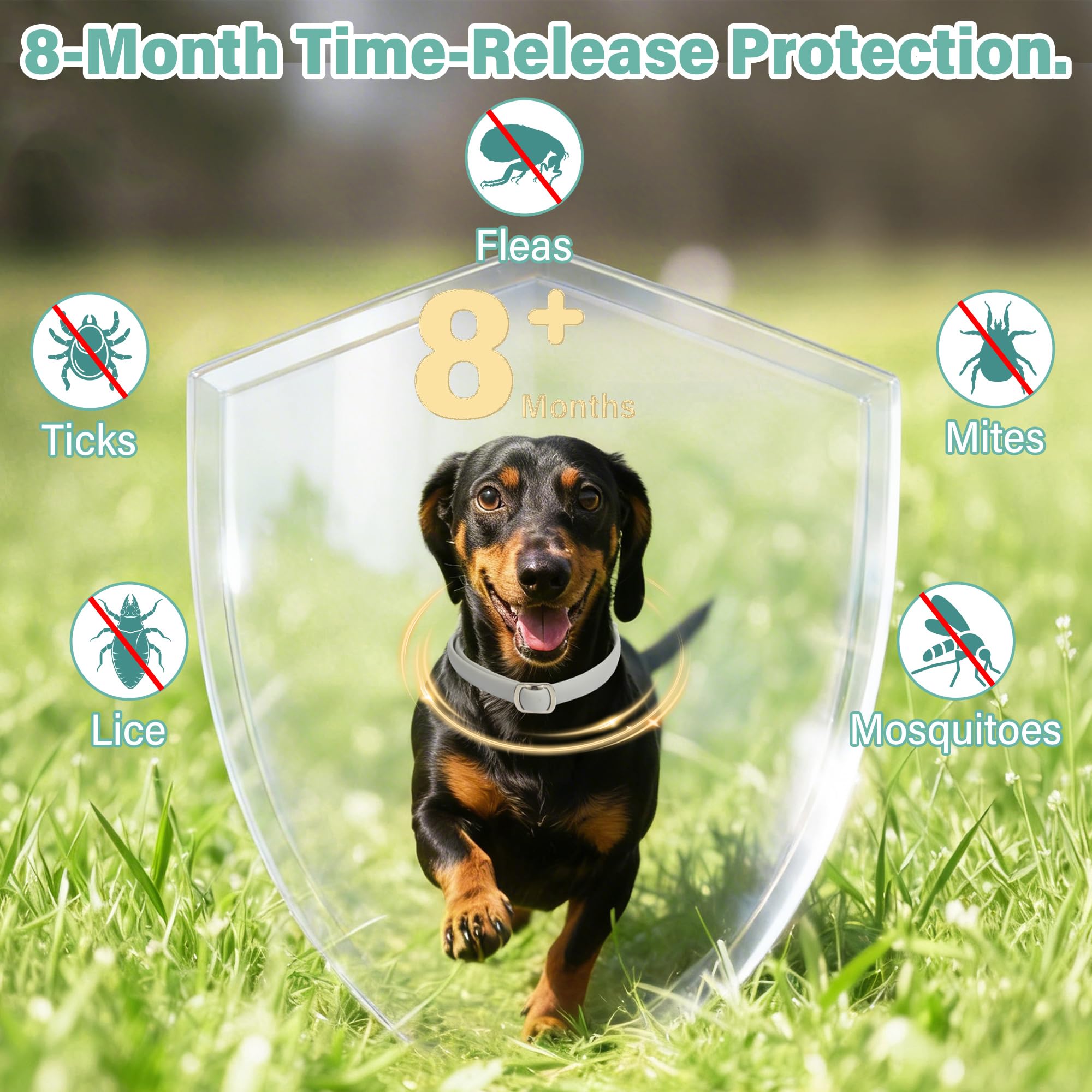Crobirware flea collar with time-release oils steady scent.