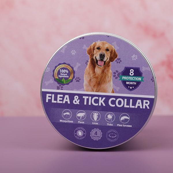 Crobirware packaging-ready collar kit, ideal gift.