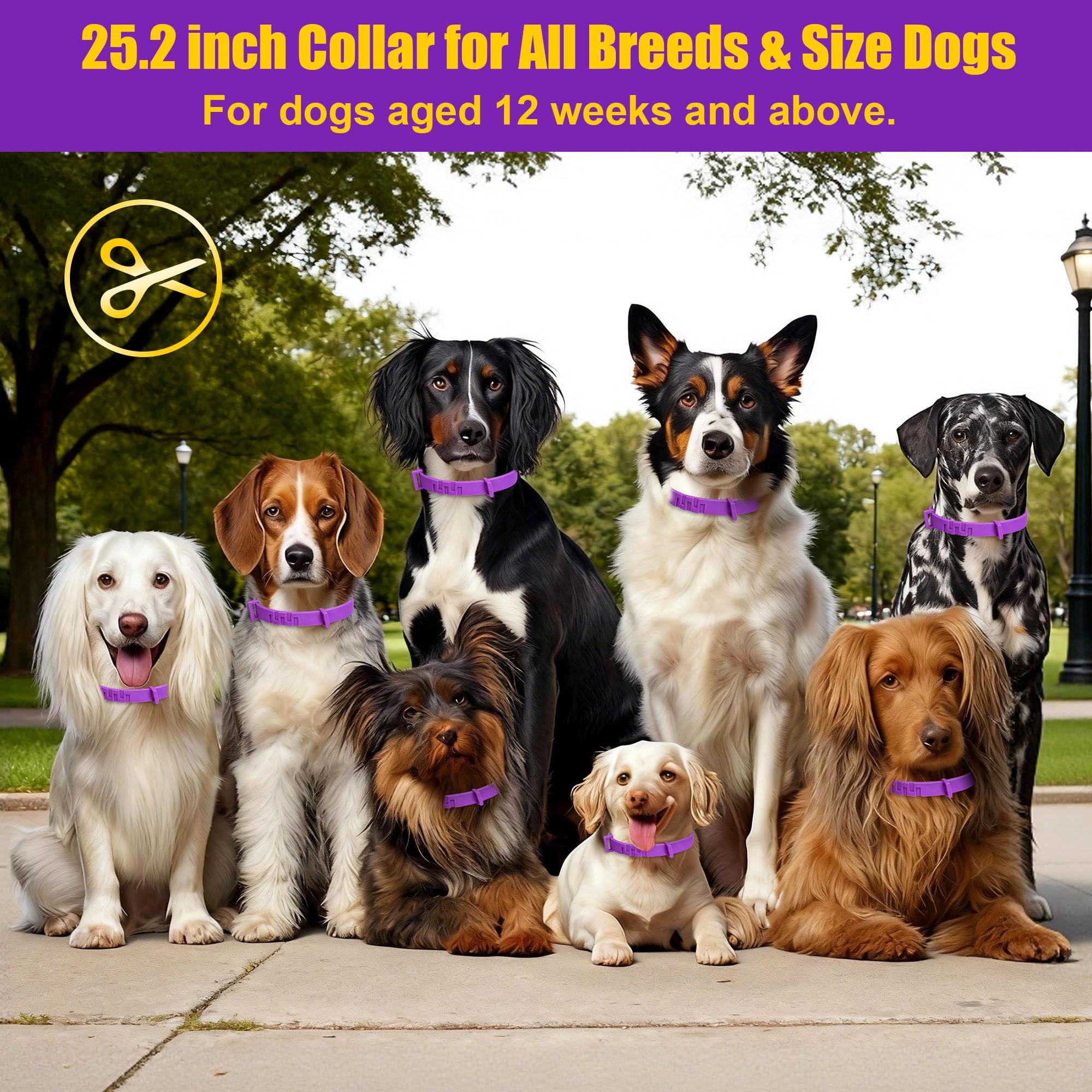 Crobirware soft strap collar provides comfortable wear.