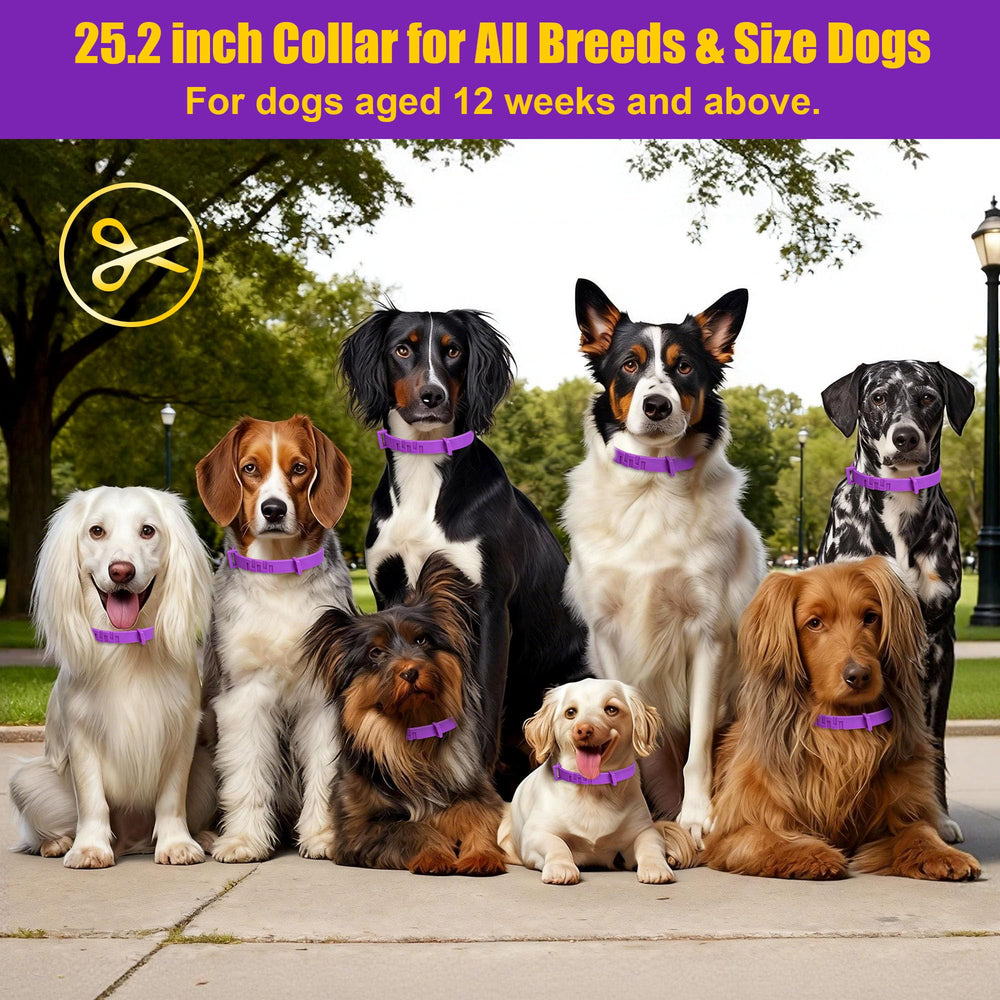 Crobirware soft strap collar provides comfortable wear.