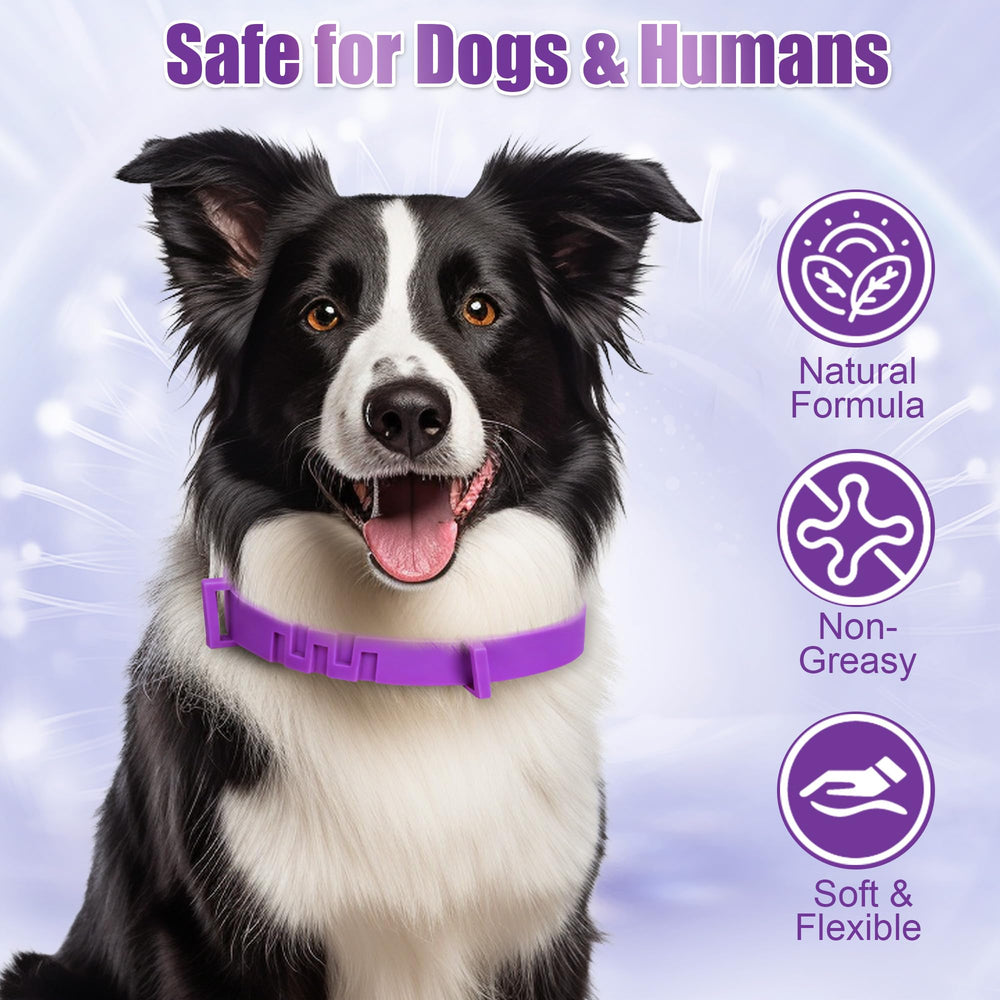 Crobirware waterproof dog collar suitable for beach and swimming.