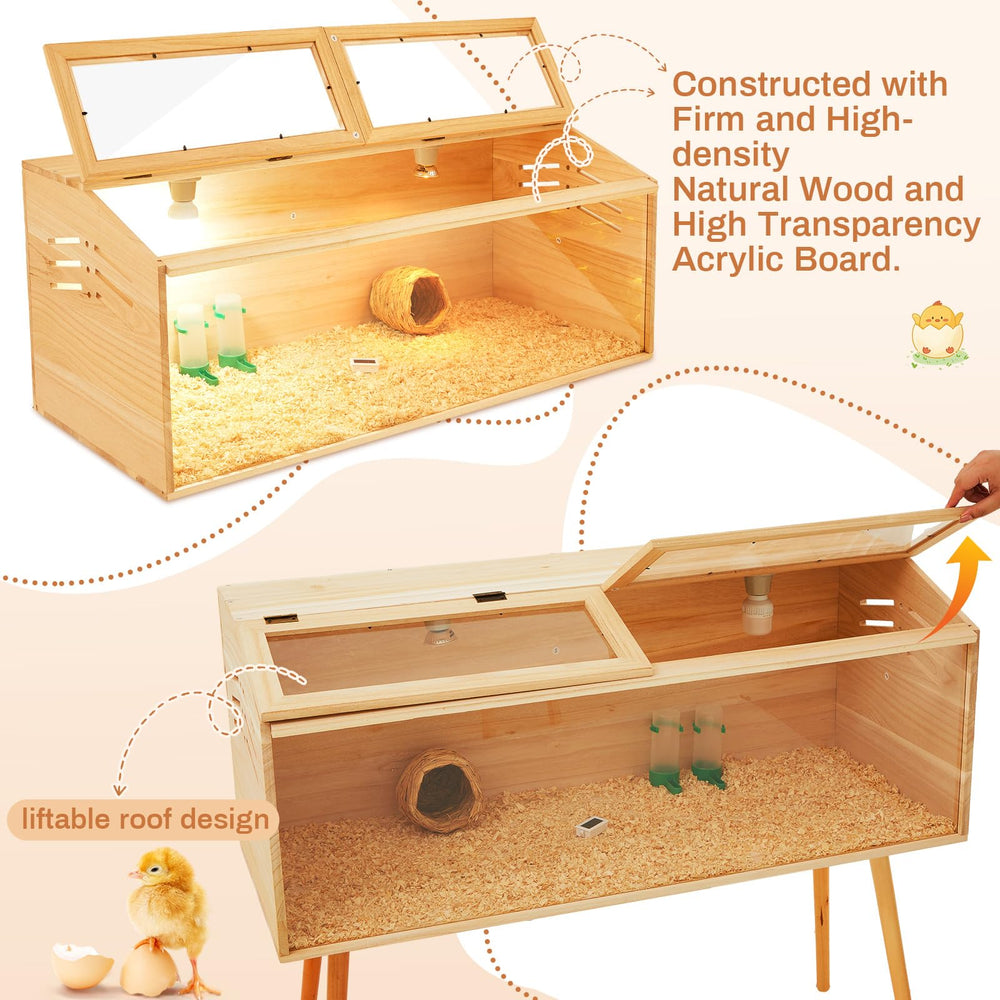 CroBlissful brooder box acrylic panel provides clear visibility.