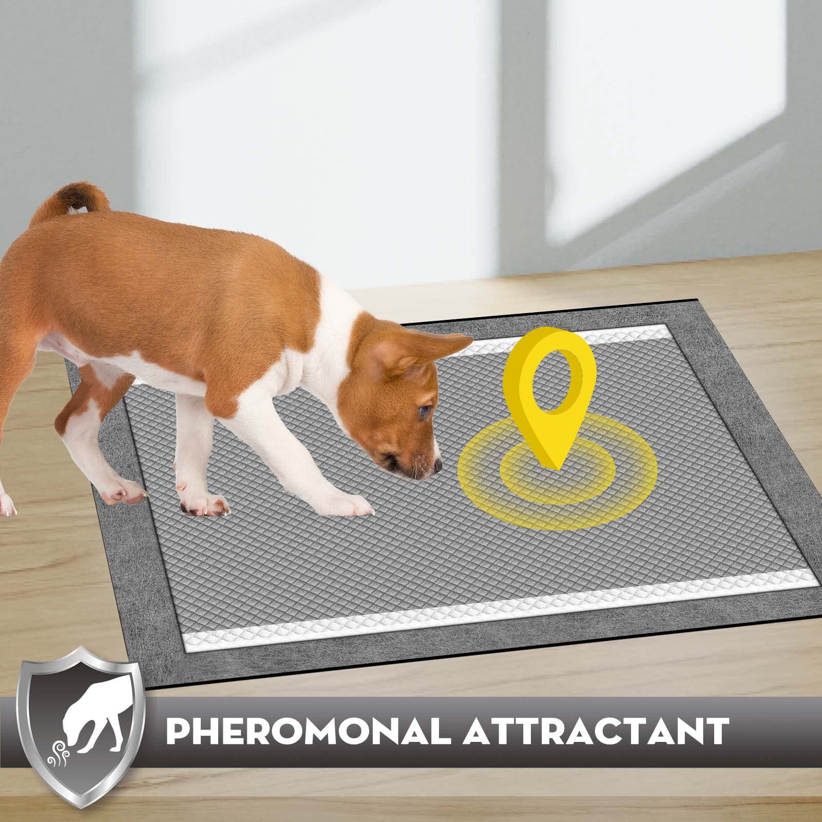 Croci charcoal puppy pads six-layer design reduces mess and foot tracking.