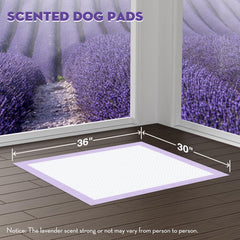 Croci dog pads adhesive tabs secure pads to floor for stability