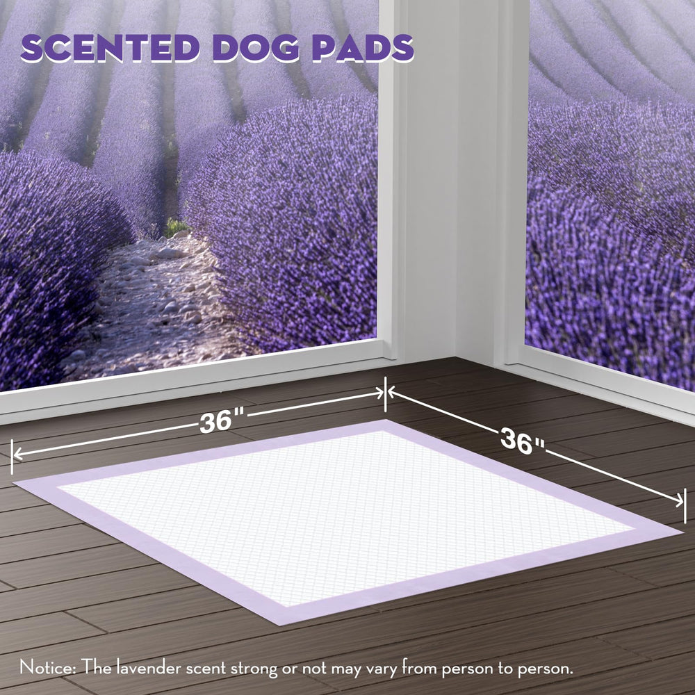 Croci pad adhesive tabs secure pad to floor or wall