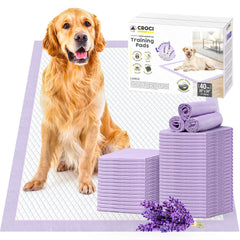 Croci extra-large dog pads with adhesive tabs for secure placement