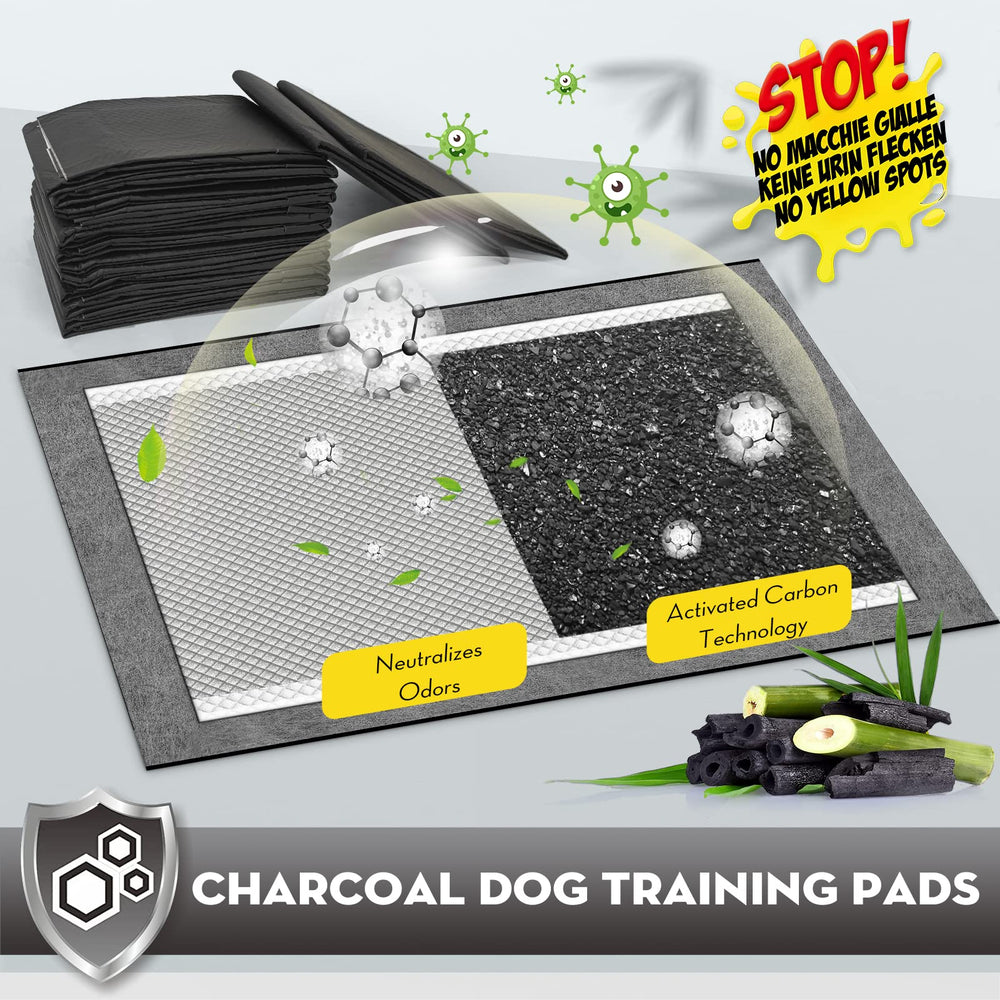 Croci odor-control layer demonstrates how activated carbon reduces indoor smells.