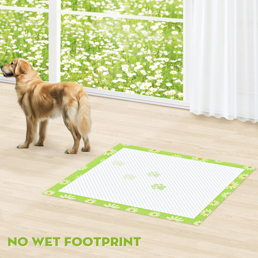 Croci 28x34 pee pad back with leak-proof barrier to prevent spills