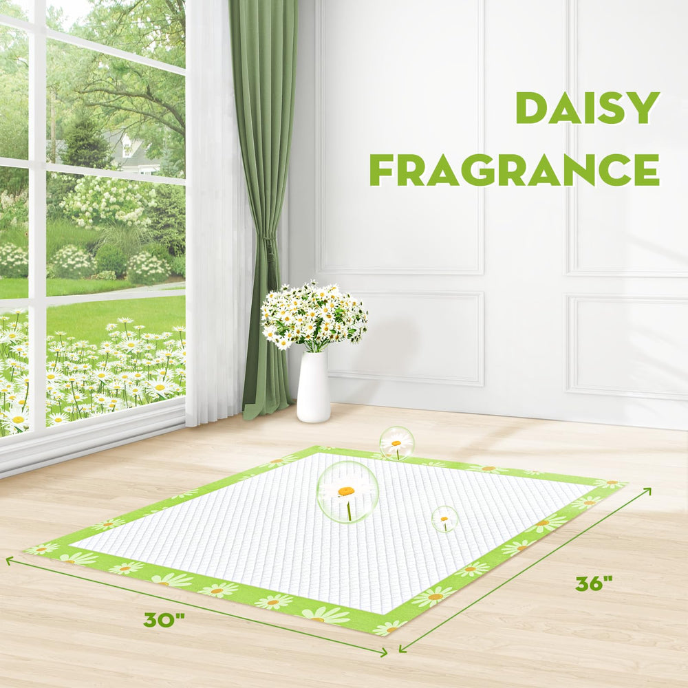 Croci Daisy pattern pad showing four adhesive tabs for secure placement.