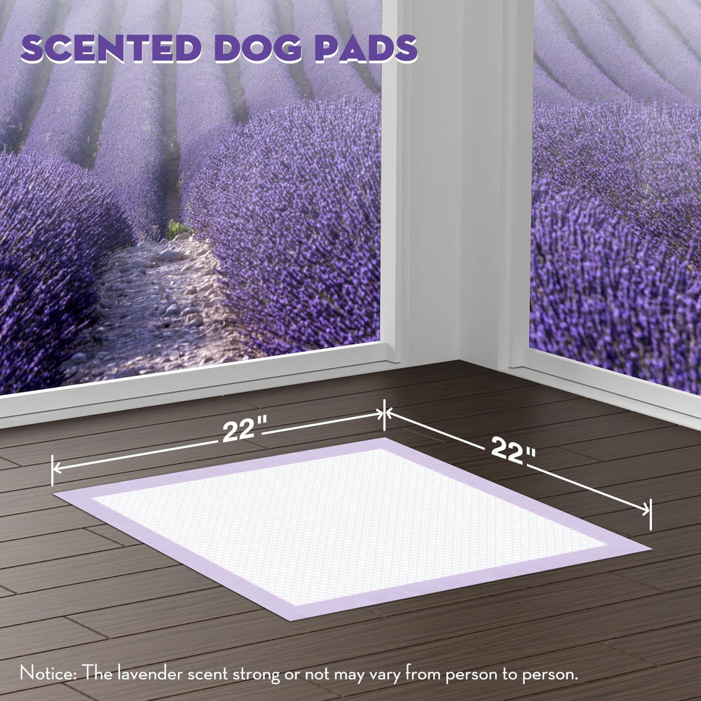 Croci Puppy Pads with adhesive tabs secure pads to floors for stable training sessions.