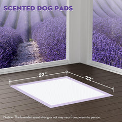 Croci Puppy Pads with adhesive tabs secure pads to floors for stable training sessions.