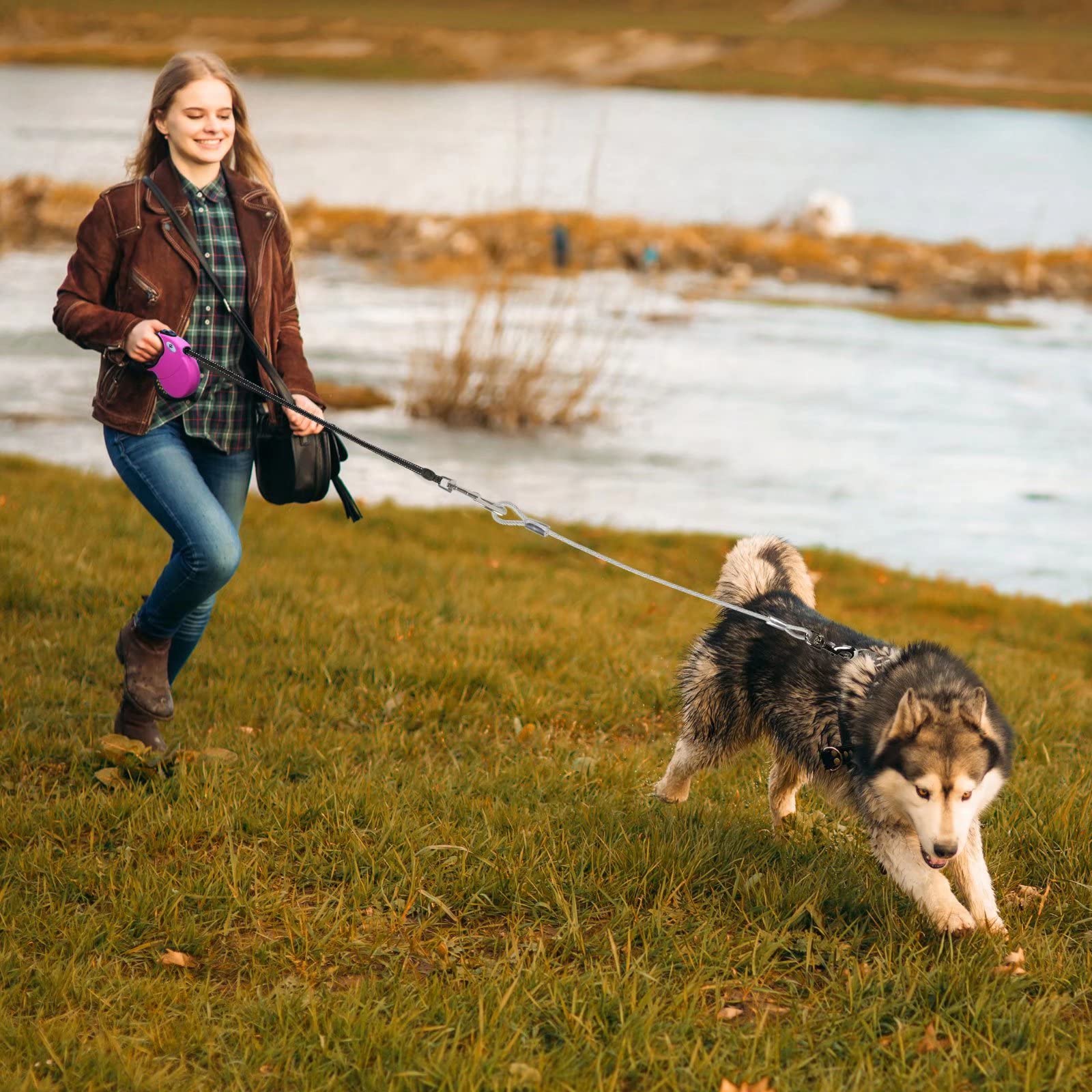 CROWN PAWS large-breed walking scene with leash in use.