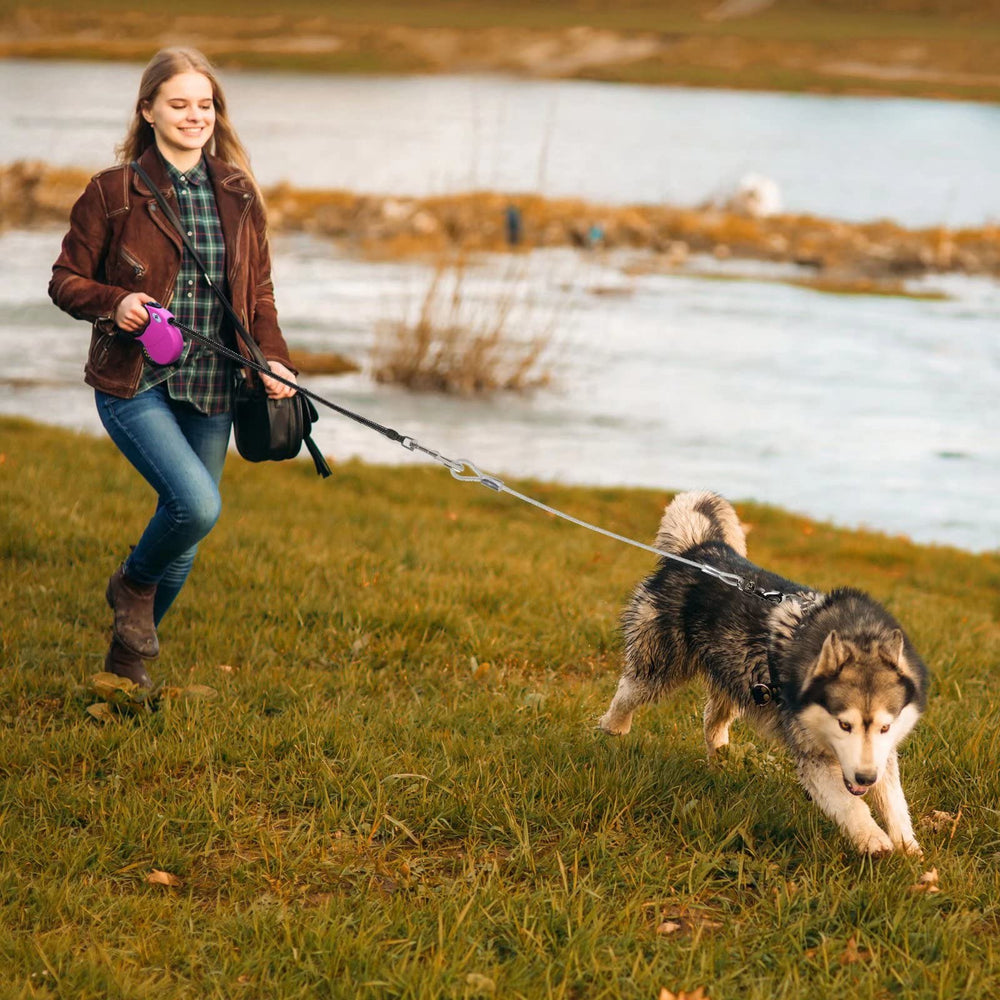 CROWN PAWS large-breed walking scene with leash in use.