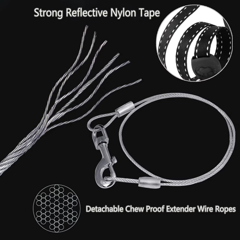 CROWN PAWS tape guidance system keeps walks tangle-free in crowded areas
