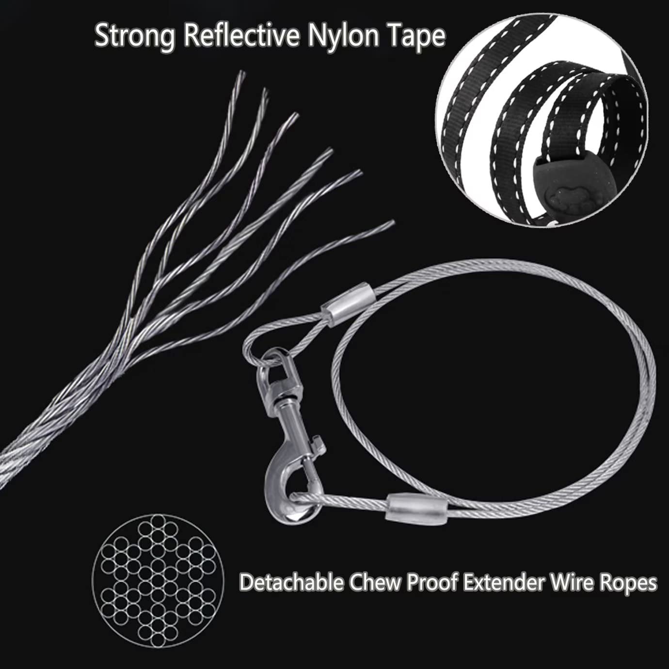 CROWN PAWS tape-guidance system demonstrates tangle-free 360-degree extension.