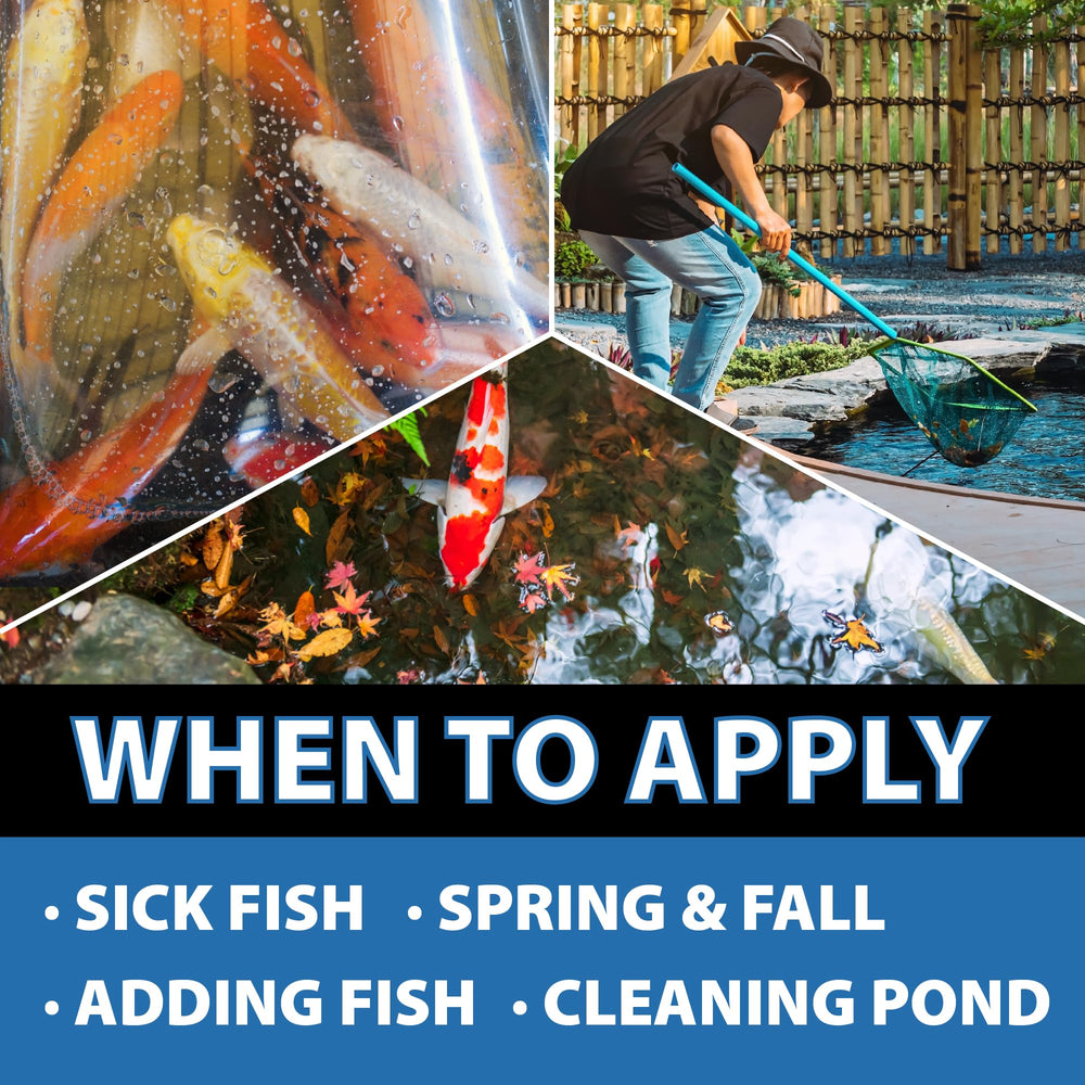 CrystalClear Knockout Plus supports fish health in ponds.