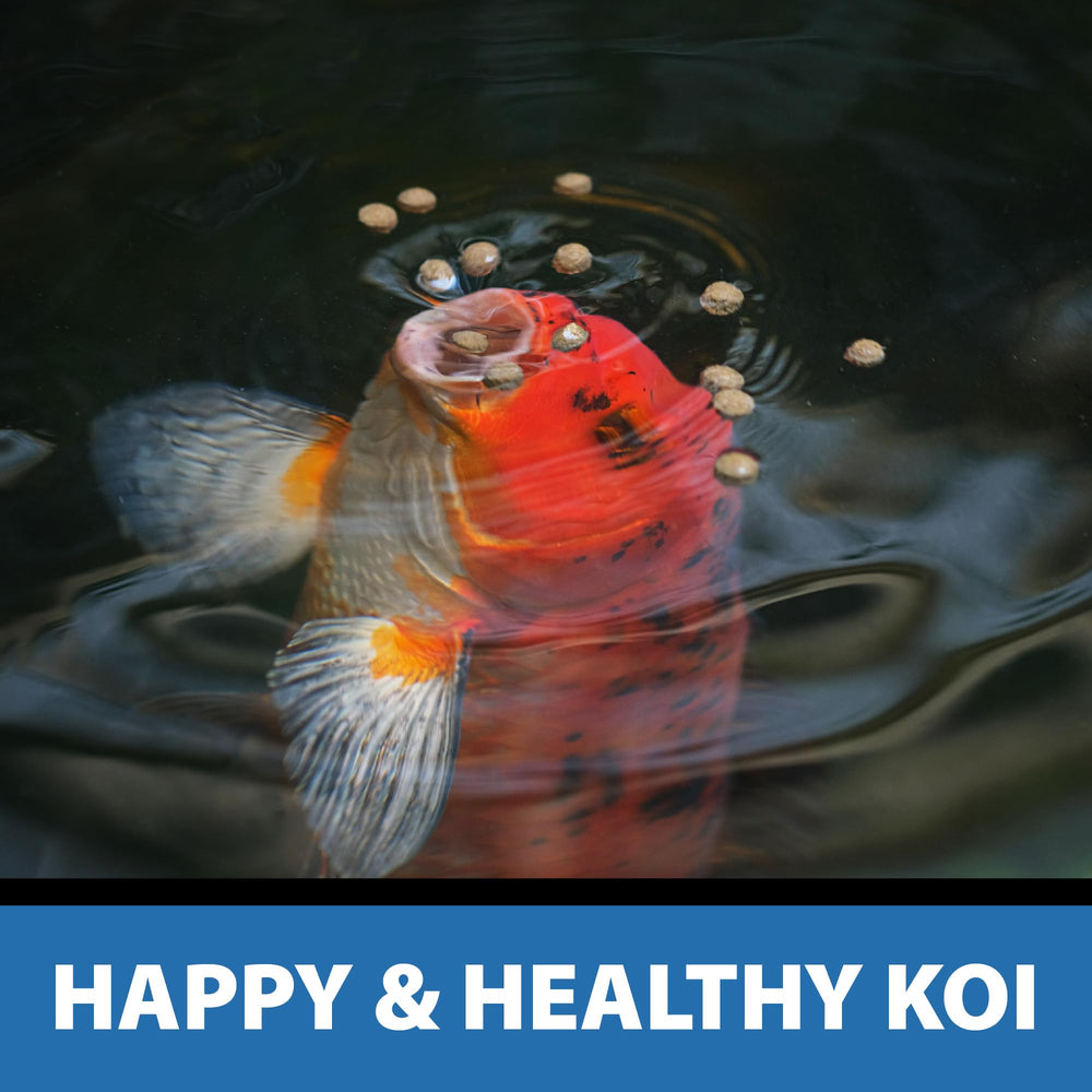 Aquatic life safe CrystalClear Platinum for ponds and wildlife