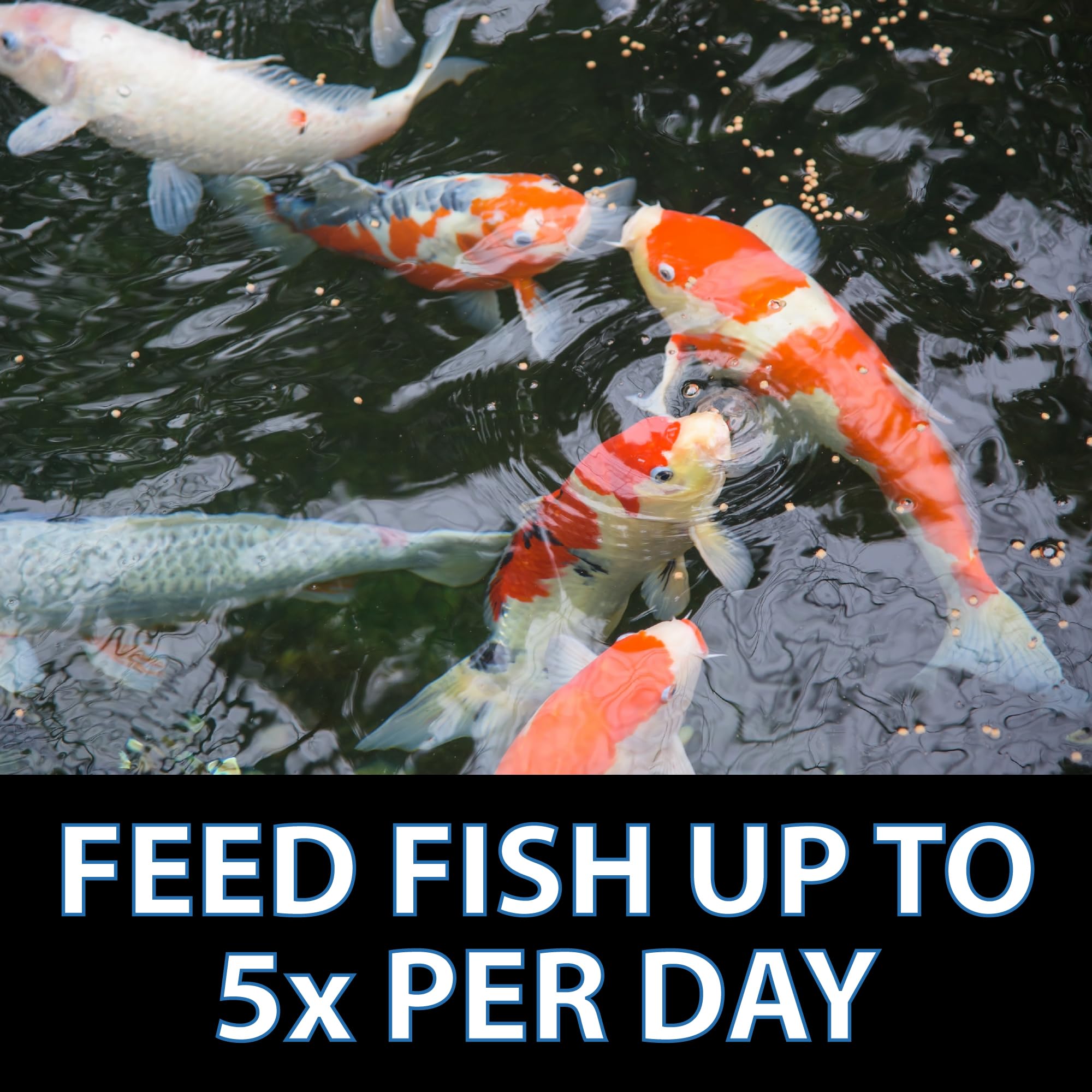 Two CrystalClear Platinum pellet sizes shown for different fish sizes