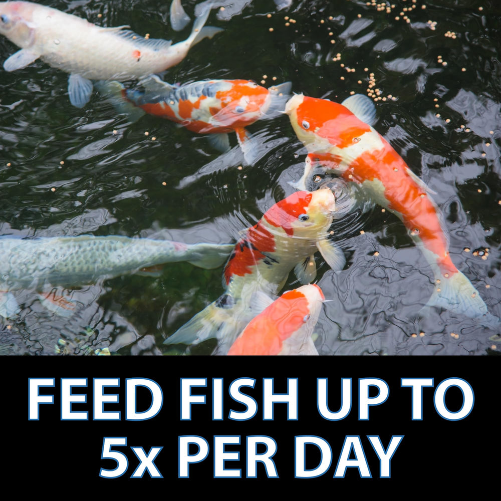 Two CrystalClear Platinum pellet sizes shown for different fish sizes
