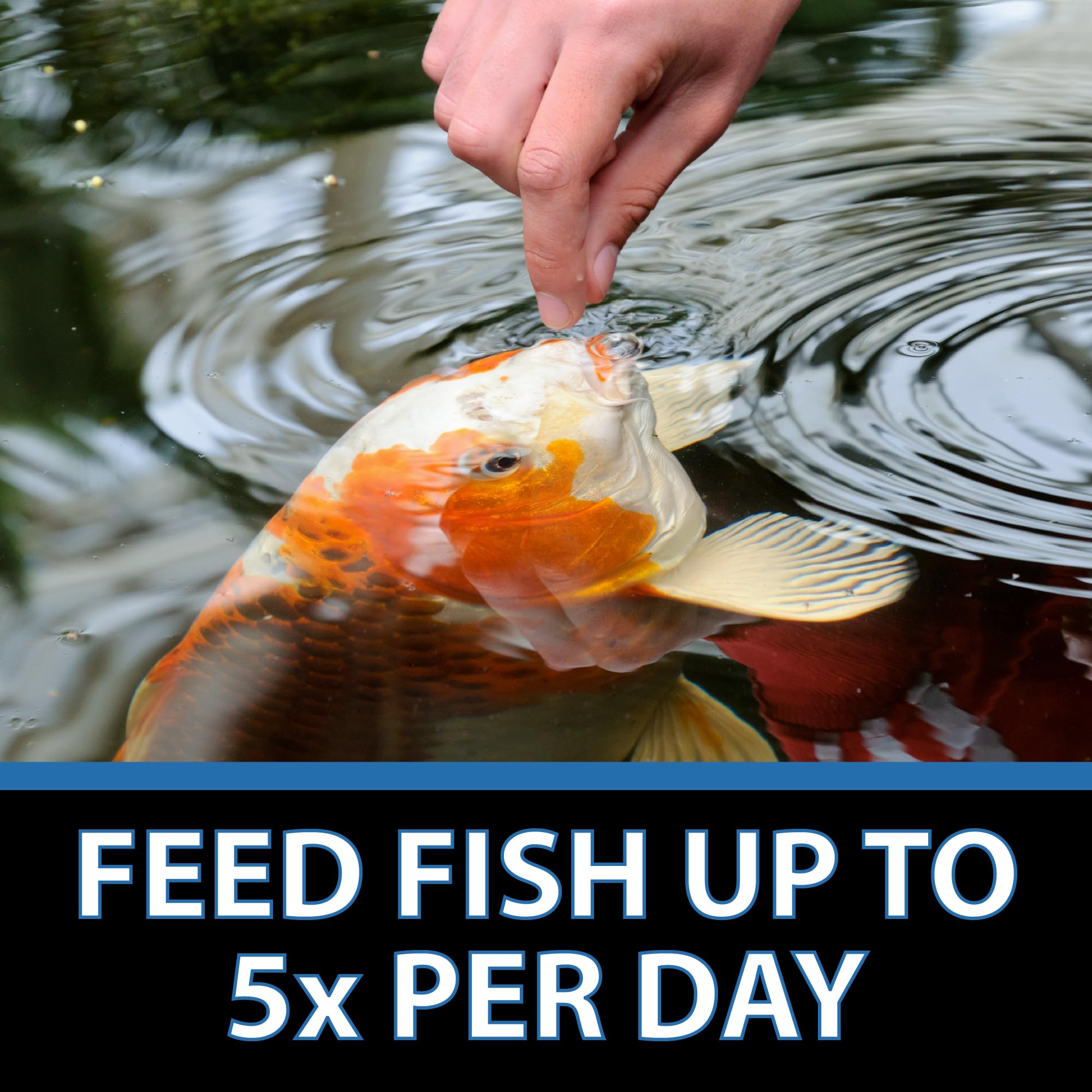 Easy daily feeding scene with CrystalClear Staple being dispensed.