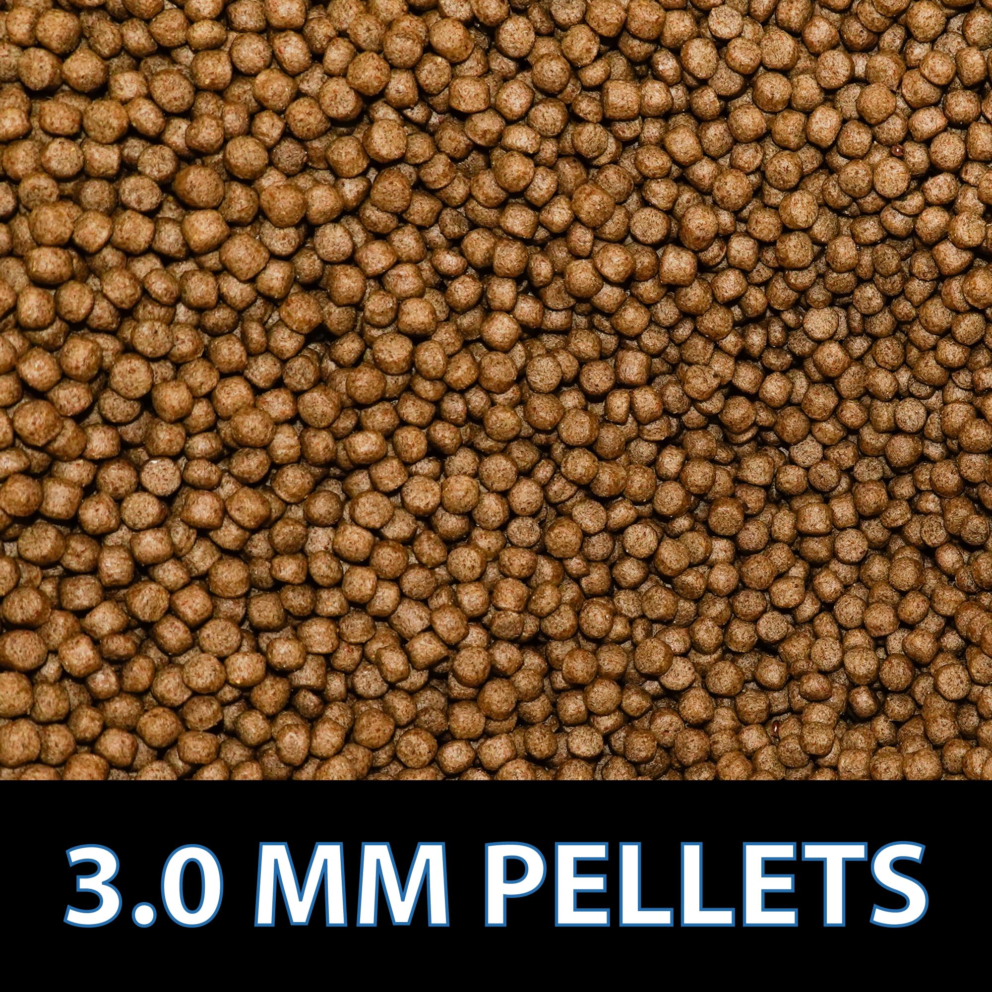 CrystalClear Staple floating pellets on pond surface for portion-controlled feeding.