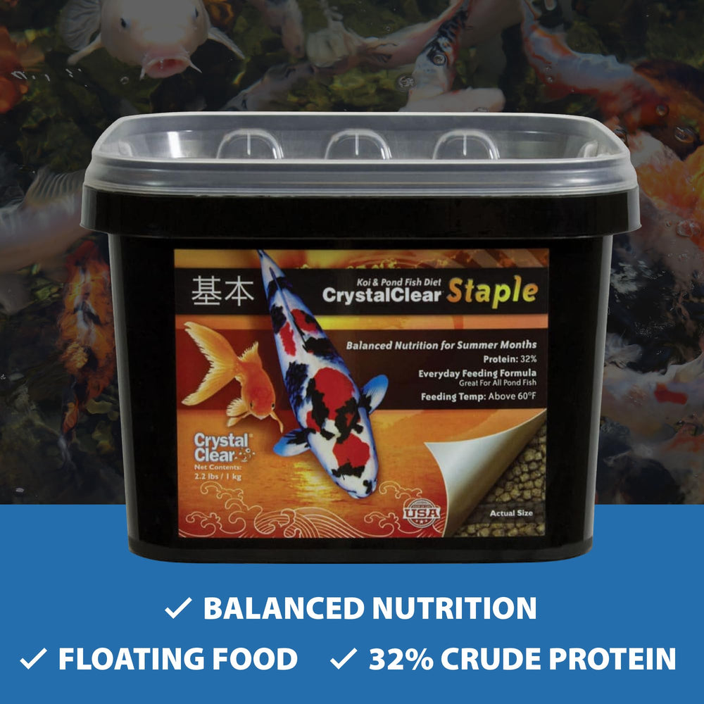 CrystalClear Staple feeding action with koi and goldfish in a warm-water pond.