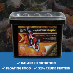 Koi and goldfish feeding on softening pellets for better digestion.