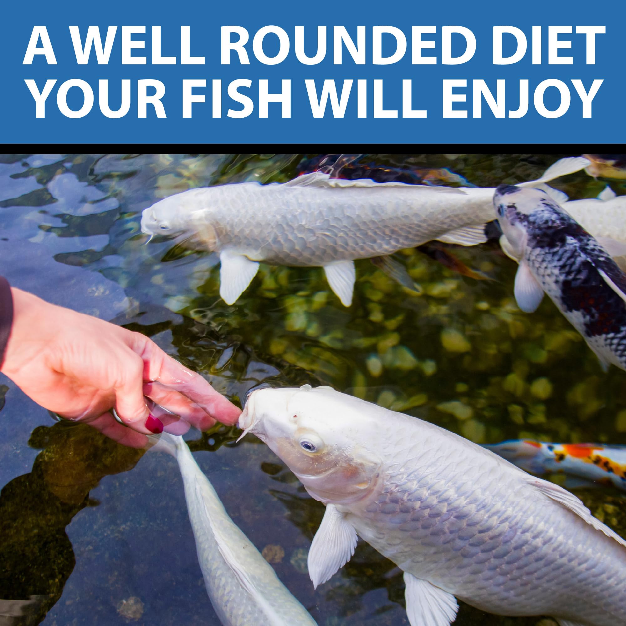 CrystalClear WheatGerm cold-water formula shown in pond scene for cooler seasons