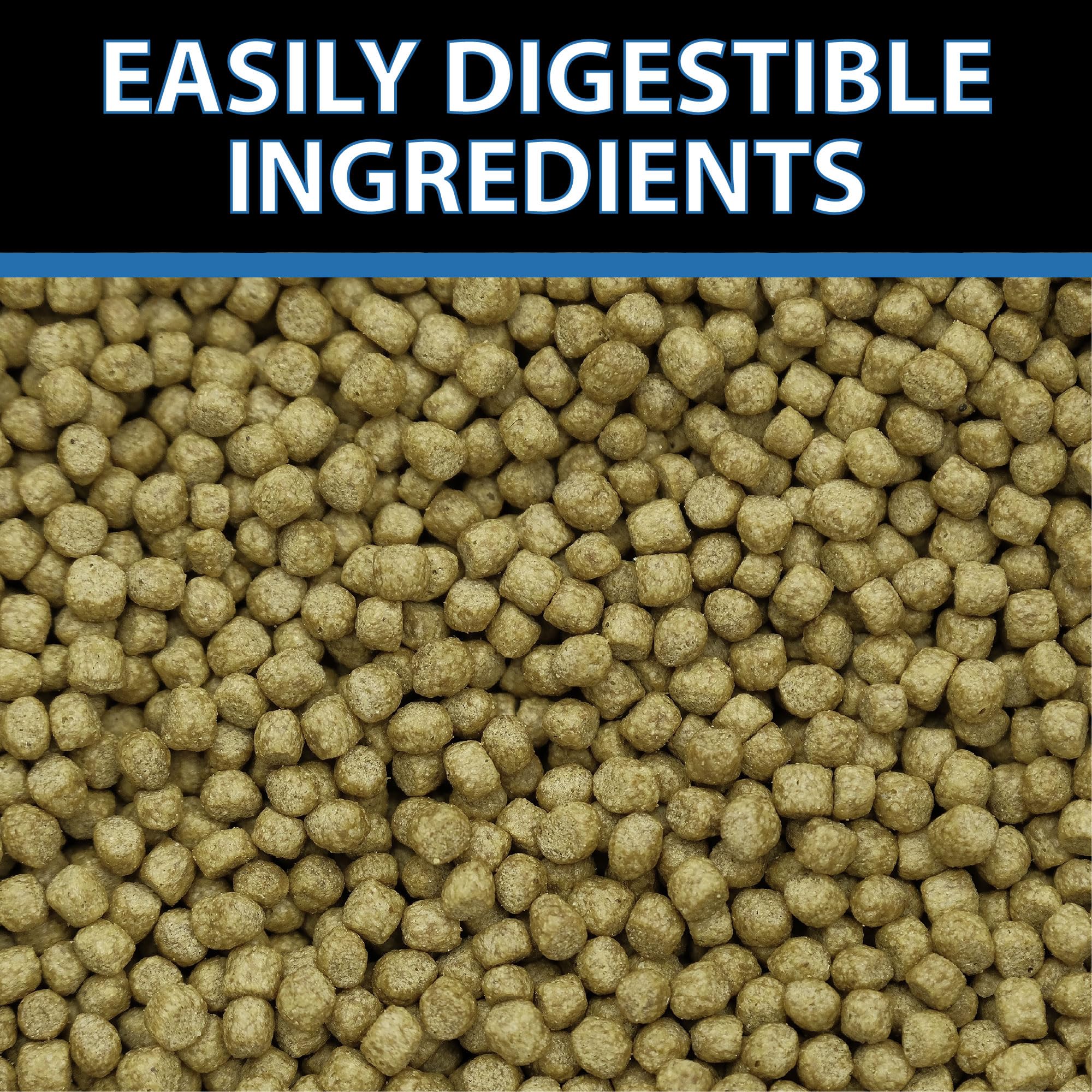 CrystalClear WheatGerm floating pellets on water surface ideal for cold-water feeding