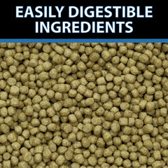 CrystalClear WheatGerm floating pellets on water surface ideal for cold-water feeding